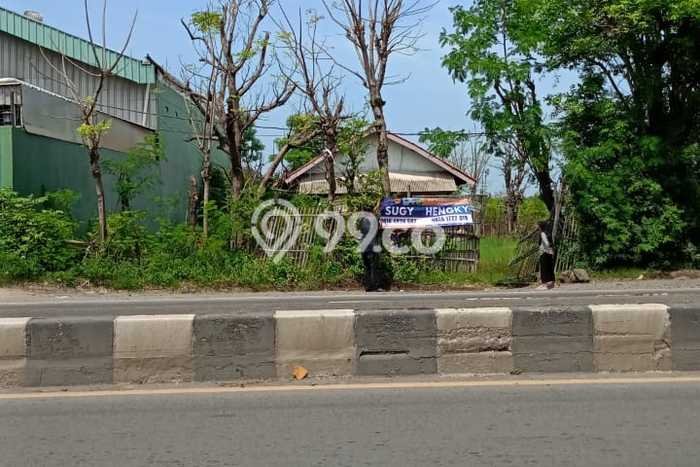 Lahan untuk Dijual Lokasi Losari, Cirebon Luas 6160m2 SHM Lahan untuk Dijual Lokasi Losari, Cirebon Luas 6160m2 SHM