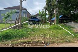 Dijual Tanah di Tabanan Tabanan Luas 250m2 SHM Dijual Tanah di Tabanan Tabanan Luas 250m2 SHM
