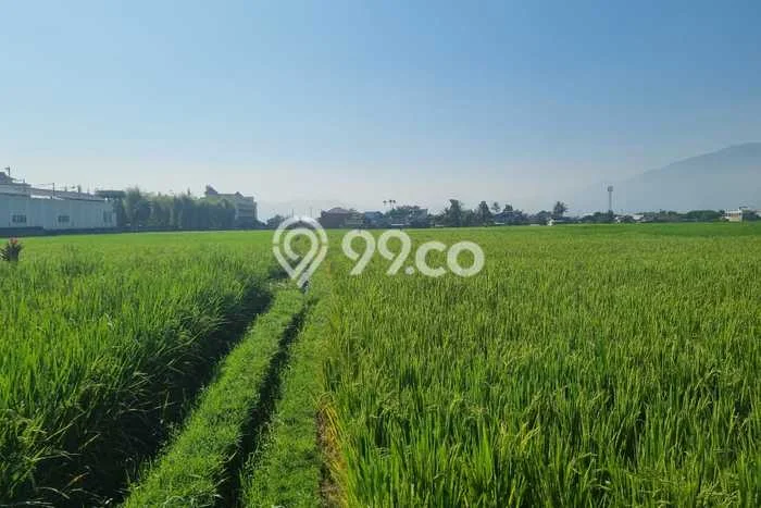 Tanah Dijual Lokasi Soreang, Bandung Luas 9000m2 Legalitas Aman Tanah Dijual Lokasi Soreang, Bandung Luas 9000m2 Legalitas Aman