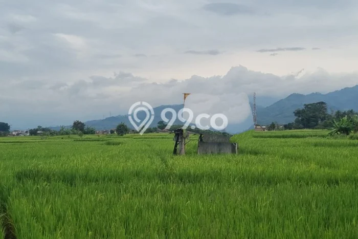 Tanah Dijual Lokasi Soreang, Bandung Luas 9000m2 Legalitas Aman Tanah Dijual Lokasi Soreang, Bandung Luas 9000m2 Legalitas Aman