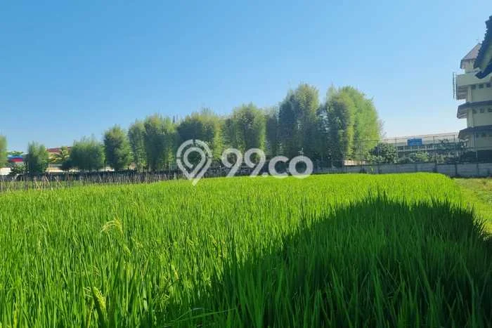 Tanah Dijual Lokasi Soreang, Bandung Luas 9000m2 Legalitas Aman Tanah Dijual Lokasi Soreang, Bandung Luas 9000m2 Legalitas Aman