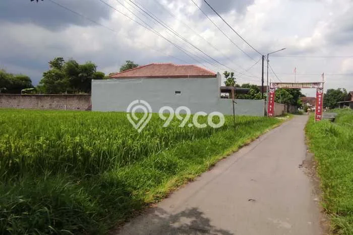 Kavling Tanah Dijual di Sumbersari Jember Spesifikasi 1000m2 Kavling Tanah Dijual di Sumbersari Jember Spesifikasi 1000m2