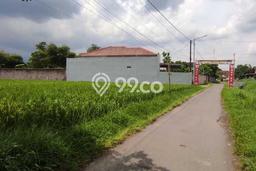 Kavling Tanah Dijual di Sumbersari Jember Spesifikasi 1000m2 Kavling Tanah Dijual di Sumbersari Jember Spesifikasi 1000m2