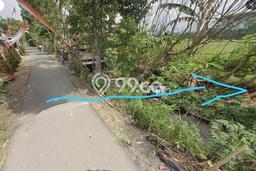 Untuk Dijual Tanah di Sumbersari Jember Luas 6000m2 SHM Untuk Dijual Tanah di Sumbersari Jember Luas 6000m2 SHM