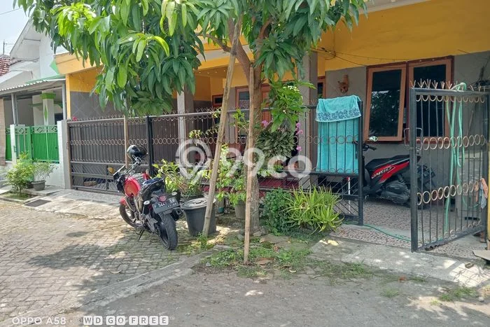 Dijual Rumah Siap Huni di Ajung Jember Harga Rp 430 Juta LT 108m2 Dijual Rumah Siap Huni di Ajung Jember Harga Rp 430 Juta LT 108m2