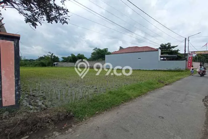 Kavling Tanah Dijual di Sumbersari Jember Spesifikasi 1000m2 Kavling Tanah Dijual di Sumbersari Jember Spesifikasi 1000m2