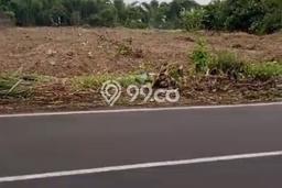 Lahan Kosong Dijual di Sumbersari, Jember, Luas 12000m2 Area Strategis Lahan Kosong Dijual di Sumbersari, Jember, Luas 12000m2 Area Strategis