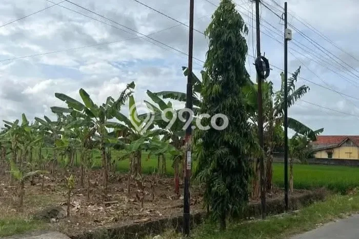 Tanah untuk Dijual di Cilacap Utara Cilacap Luas 560m2 Tanah untuk Dijual di Cilacap Utara Cilacap Luas 560m2