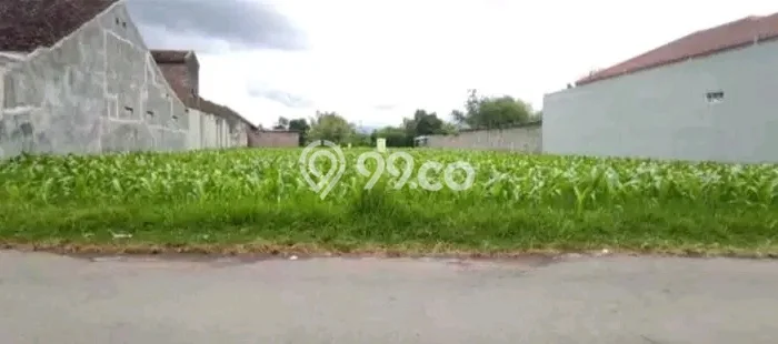 Kavling Tanah Dijual di Sumbersari Jember Spesifikasi 1000m2 Kavling Tanah Dijual di Sumbersari Jember Spesifikasi 1000m2