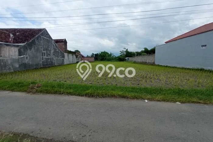 Kavling Tanah Dijual di Sumbersari Jember Spesifikasi 1000m2 Kavling Tanah Dijual di Sumbersari Jember Spesifikasi 1000m2