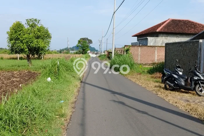 Kavling Tanah Dijual di Sumbersari Jember Spesifikasi 3000m2 Kavling Tanah Dijual di Sumbersari Jember Spesifikasi 3000m2