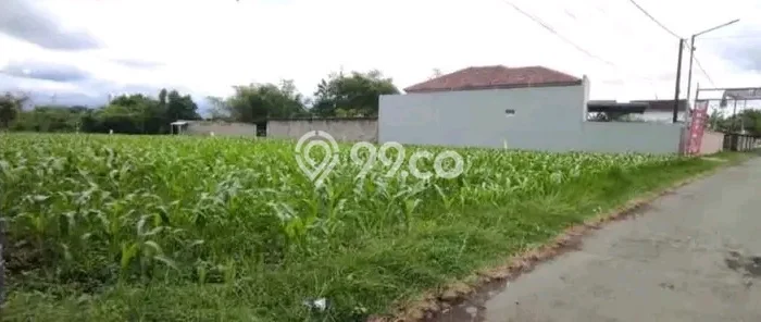 Kavling Tanah Dijual di Sumbersari Jember Spesifikasi 1000m2 Kavling Tanah Dijual di Sumbersari Jember Spesifikasi 1000m2