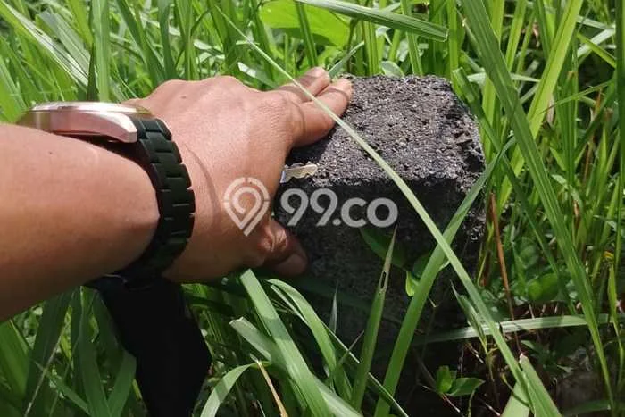 Lahan Investasi Lokasi Sumbersari Jember SHM Lahan Investasi Lokasi Sumbersari Jember SHM