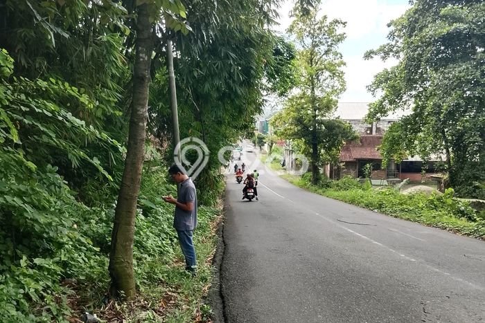 Tanah Dijual Lokasi Sukorambi, Jember dengan Luas Tanah 1648m2 dan Status SHM Tanah Dijual Lokasi Sukorambi, Jember dengan Luas Tanah 1648m2 dan Status SHM
