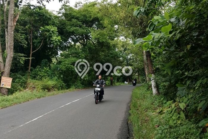 Tanah Dijual Lokasi Sukorambi, Jember dengan Luas Tanah 1648m2 dan Status SHM Tanah Dijual Lokasi Sukorambi, Jember dengan Luas Tanah 1648m2 dan Status SHM