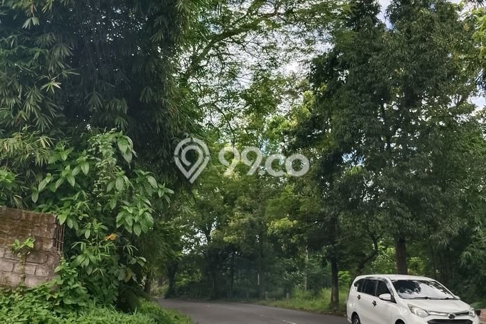 Tanah Dijual Lokasi Sukorambi, Jember dengan Luas Tanah 1648m2 dan Status SHM Tanah Dijual Lokasi Sukorambi, Jember dengan Luas Tanah 1648m2 dan Status SHM