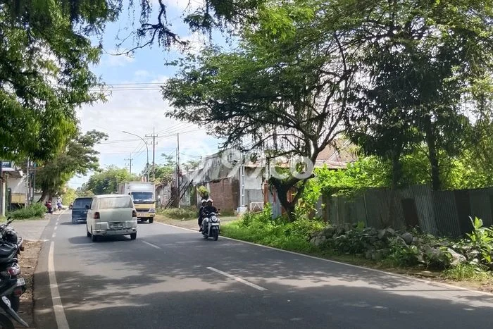 Tanah di Patrang, Jember Luas 2050m2 Dijual Segera Tanah di Patrang, Jember Luas 2050m2 Dijual Segera