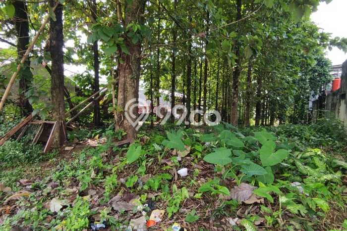Tanah di Cibinong, Bogor Luas 800m2 Dijual Segera Tanah di Cibinong, Bogor Luas 800m2 Dijual Segera