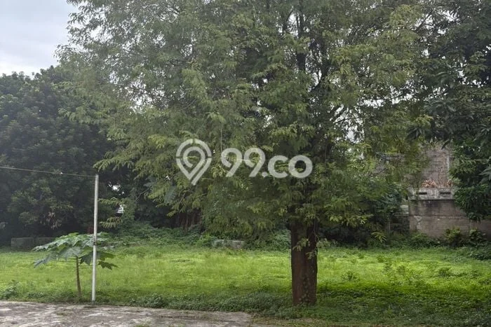 Kavling Tanah Dijual di Pamulang, Tangerang Selatan, Luas 3845m2 Area Strategis Kavling Tanah Dijual di Pamulang, Tangerang Selatan, Luas 3845m2 Area Strategis