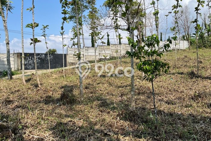 Lahan Kosong Dijual di Bogor Selatan, Bogor, Luas 2000m2 Area Strategis Lahan Kosong Dijual di Bogor Selatan, Bogor, Luas 2000m2 Area Strategis