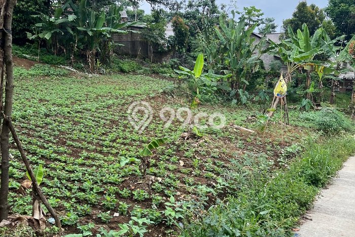Lahan Kosong Dijual di Bogor Selatan, Bogor, Luas 900m2 Area Strategis Lahan Kosong Dijual di Bogor Selatan, Bogor, Luas 900m2 Area Strategis