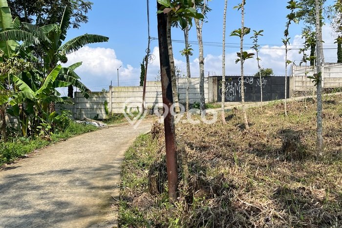 Lahan Kosong Dijual di Bogor Selatan, Bogor, Luas 2000m2 Area Strategis Lahan Kosong Dijual di Bogor Selatan, Bogor, Luas 2000m2 Area Strategis