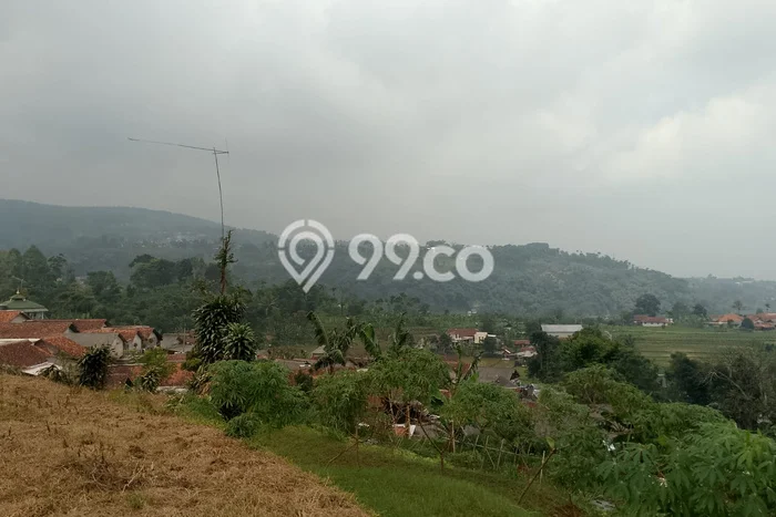 Lahan Investasi Lokasi Tenjolaya Bogor SHM Lahan Investasi Lokasi Tenjolaya Bogor SHM