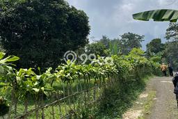Kavling Tanah di Tenjolaya Dijual Luas 15000m2 Legalitas SHM Kavling Tanah di Tenjolaya Dijual Luas 15000m2 Legalitas SHM