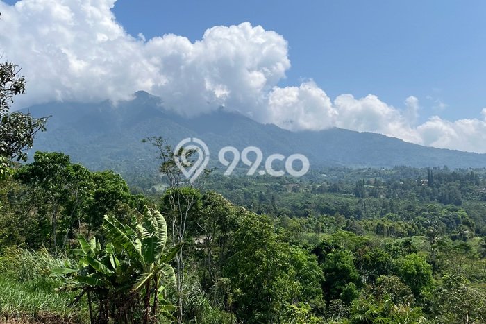 Tanah Kavling untuk Dijual di Bogor Selatan Bogor 2000m2 Tanah Kavling untuk Dijual di Bogor Selatan Bogor 2000m2