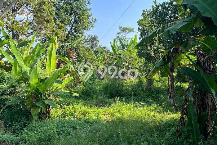Lahan Kosong Dijual di Bogor dengan Area 400m2 Lahan Kosong Dijual di Bogor dengan Area 400m2
