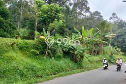 Lahan Kosong Dijual di Bogor dengan Area 7000m2 Lahan Kosong Dijual di Bogor dengan Area 7000m2