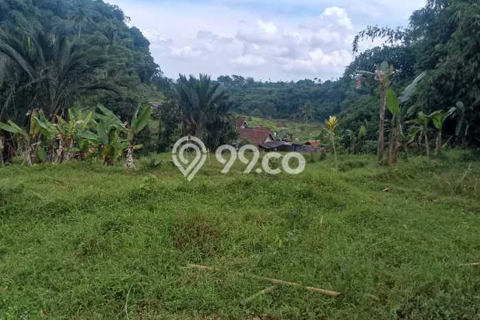 Tanah Kosong Dijual di Bogor dengan Area 1200m2 Tanah Kosong Dijual di Bogor dengan Area 1200m2