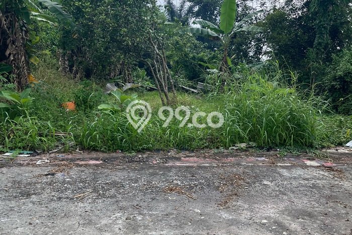 Tanah Kavling untuk Dijual di Bogor Barat Bogor 3500m2 Tanah Kavling untuk Dijual di Bogor Barat Bogor 3500m2