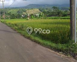 Tanah Dijual Lokasi Bogor Barat, Bogor Luas 8000m2 Legalitas Aman Tanah Dijual Lokasi Bogor Barat, Bogor Luas 8000m2 Legalitas Aman