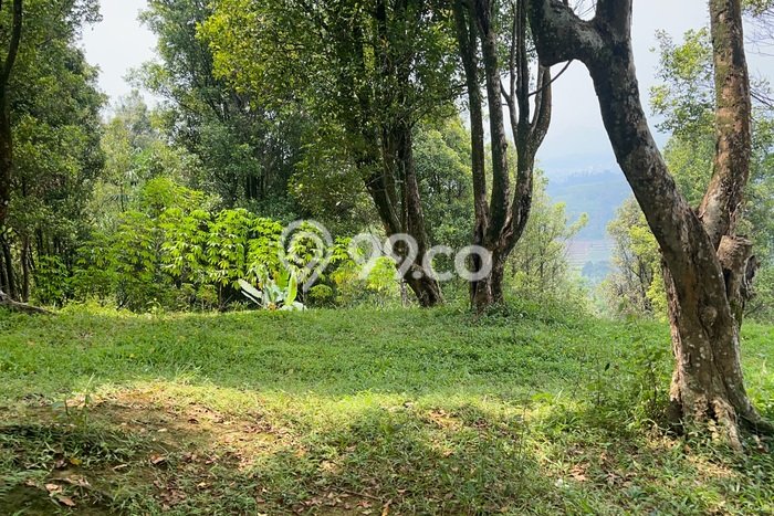 Lahan Kosong Dijual di Bogor dengan Area 30000m2 Lahan Kosong Dijual di Bogor dengan Area 30000m2
