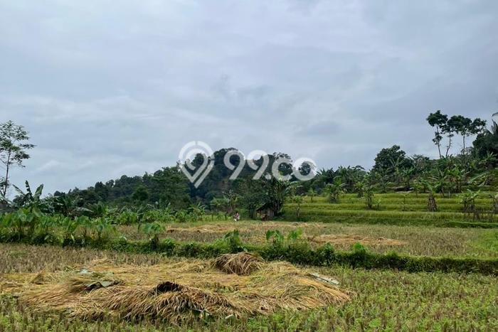 Kavling Tanah di Bogor Barat Dijual Luas 7000m2 Legalitas PPJB Kavling Tanah di Bogor Barat Dijual Luas 7000m2 Legalitas PPJB
