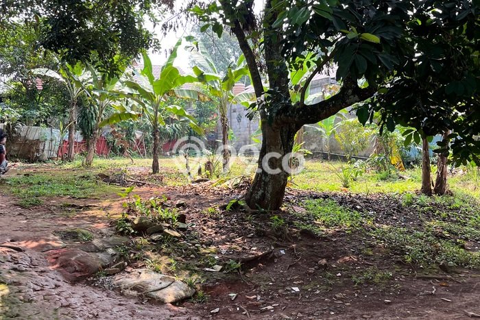 Tanah untuk Dijual di Bogor Timur Bogor Luas 300m2 Tanah untuk Dijual di Bogor Timur Bogor Luas 300m2