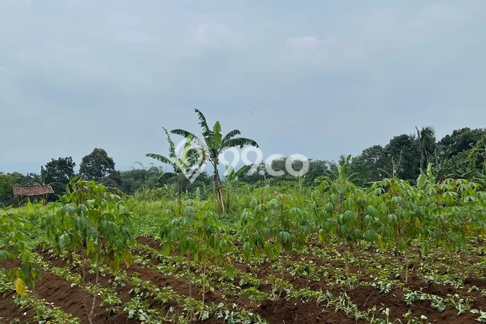 Kavling Tanah Dijual di Bogor Selatan, Bogor, Luas 13000m2 Area Strategis Kavling Tanah Dijual di Bogor Selatan, Bogor, Luas 13000m2 Area Strategis