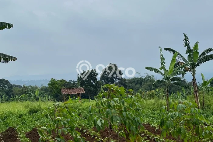 Kavling Tanah Dijual di Bogor Selatan, Bogor, Luas 13000m2 Area Strategis Kavling Tanah Dijual di Bogor Selatan, Bogor, Luas 13000m2 Area Strategis