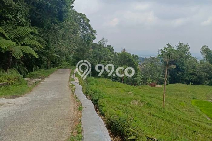 Tanah Dijual Lokasi Bogor Barat Bogor PPJB Tanah Dijual Lokasi Bogor Barat Bogor PPJB