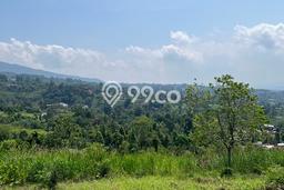 Tanah Kavling untuk Dijual di Bogor Selatan Bogor 4000m2 Tanah Kavling untuk Dijual di Bogor Selatan Bogor 4000m2