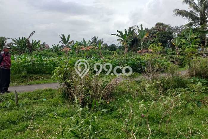 Tanah Kavling untuk Dijual di Bogor Barat Bogor 5000m2 Tanah Kavling untuk Dijual di Bogor Barat Bogor 5000m2