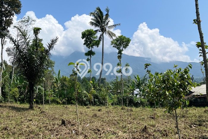 Lahan Kosong Dijual di Bogor Selatan, Bogor, Luas 2000m2 Area Strategis Lahan Kosong Dijual di Bogor Selatan, Bogor, Luas 2000m2 Area Strategis