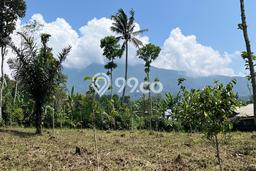 Lahan Kosong Dijual di Bogor Selatan, Bogor, Luas 2000m2 Area Strategis Lahan Kosong Dijual di Bogor Selatan, Bogor, Luas 2000m2 Area Strategis