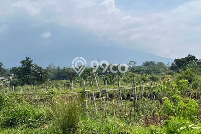 Lahan Kosong Dijual di Bogor Selatan, Bogor, Luas 30000m2 Area Strategis Lahan Kosong Dijual di Bogor Selatan, Bogor, Luas 30000m2 Area Strategis