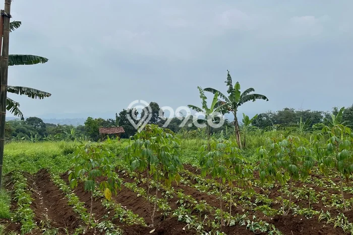 Kavling Tanah Dijual di Bogor Selatan, Bogor, Luas 13000m2 Area Strategis Kavling Tanah Dijual di Bogor Selatan, Bogor, Luas 13000m2 Area Strategis