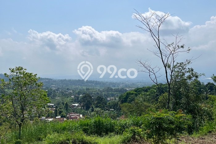 Tanah Kavling untuk Dijual di Bogor Selatan Bogor 4000m2 Tanah Kavling untuk Dijual di Bogor Selatan Bogor 4000m2