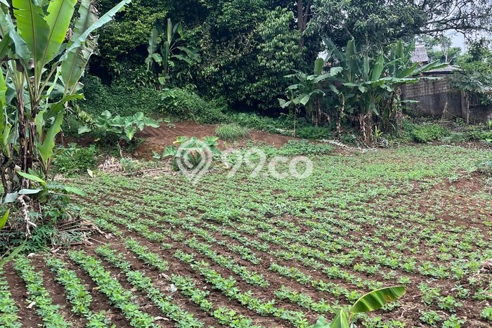 Lahan Kosong Dijual di Bogor Selatan, Bogor, Luas 900m2 Area Strategis Lahan Kosong Dijual di Bogor Selatan, Bogor, Luas 900m2 Area Strategis