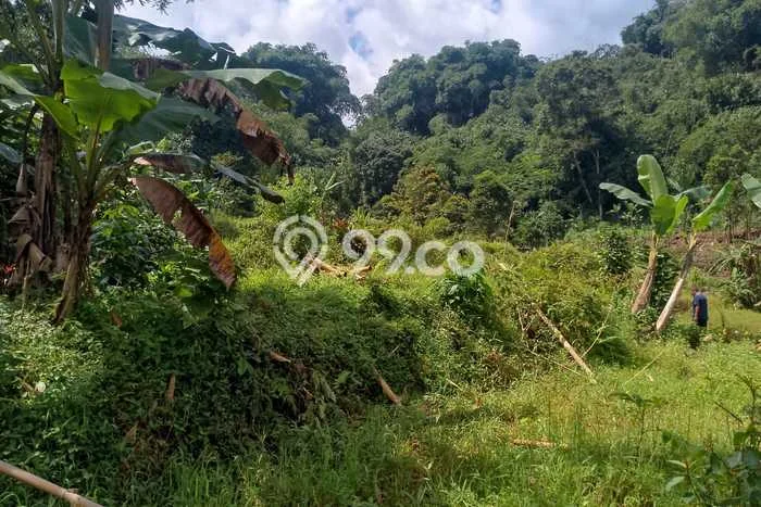 Tanah Kosong Dijual di Bogor dengan Area 1200m2 Tanah Kosong Dijual di Bogor dengan Area 1200m2