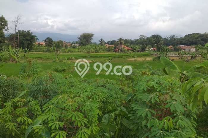 Tanah Kavling untuk Dijual di Bogor Barat Bogor 5000m2 Tanah Kavling untuk Dijual di Bogor Barat Bogor 5000m2